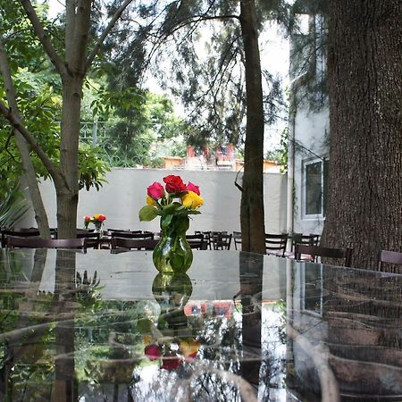Casa Tepoztlan Bed & Breakfast Ngoại thất bức ảnh