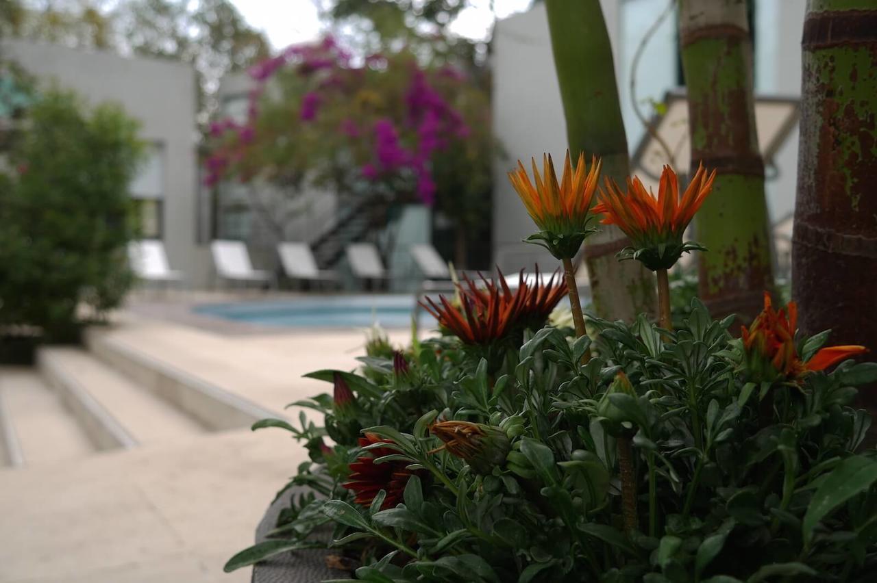 Casa Tepoztlan Bed & Breakfast Ngoại thất bức ảnh